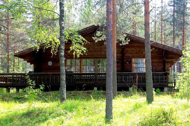 на берегу живописного озера